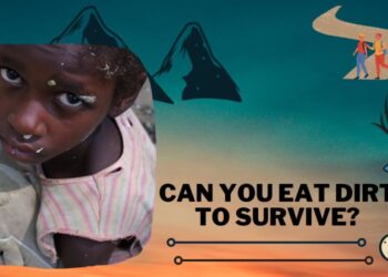 Can You Eat Dirt To Survive