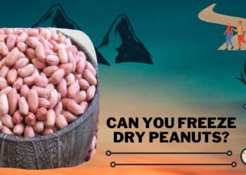 Can You Freeze Dry Peanuts